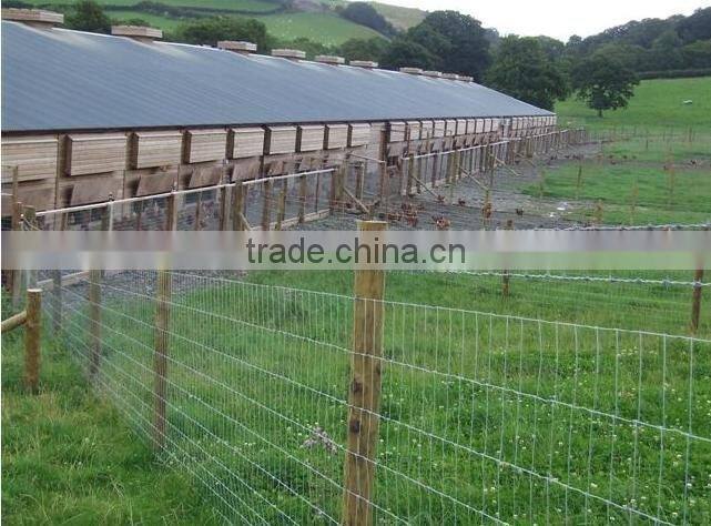 hot galvanized cattle fence
