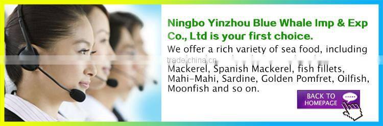 Hot selling pacific mackerel scomber to Africa