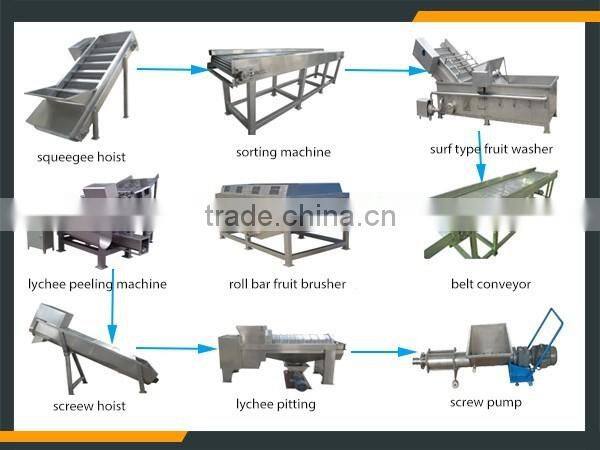 Leader excellent performance and popular litchi skin peeling equipment