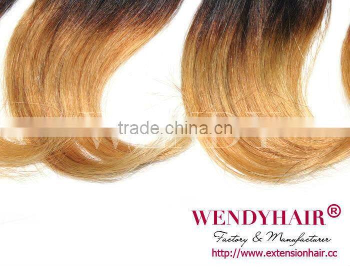 virgin Brazilian hair half wig 100% human hair body wave