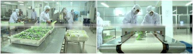 Hot sale Wasabi paste 43g super quality