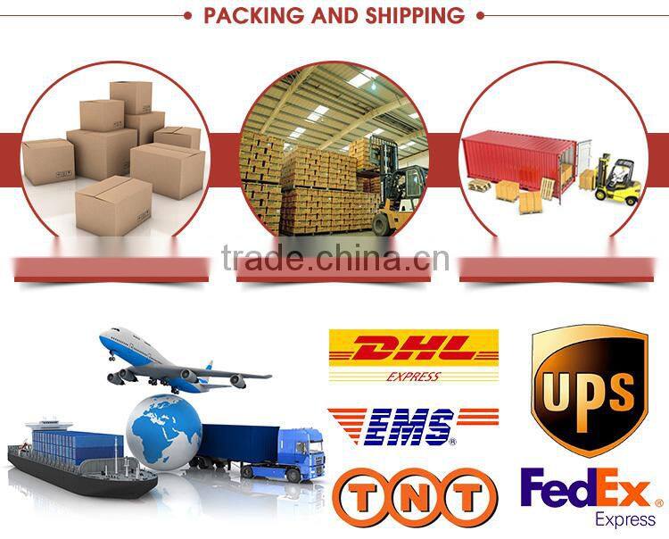 oem service wholesale fashion mesh cotton socks