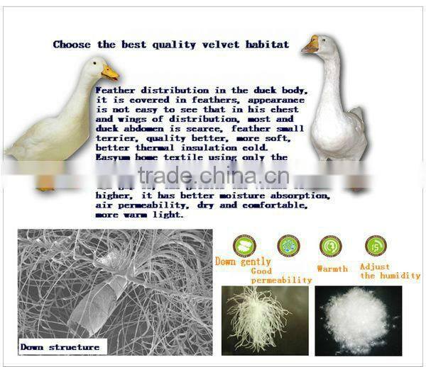 2015 New Style White Goose Down Comforter