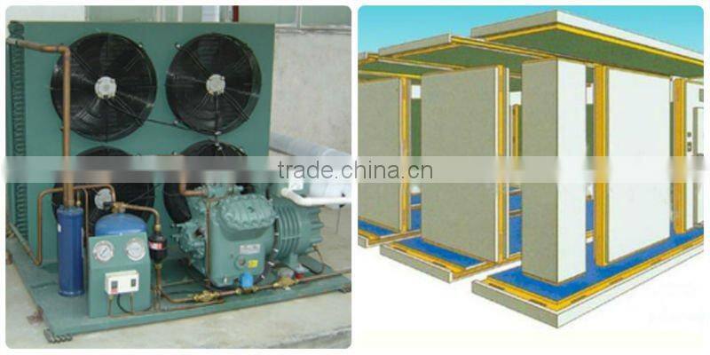 commercial ice cream storage cold room sell well