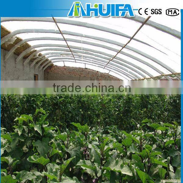Agricultural Solar Green house For Tomatoes