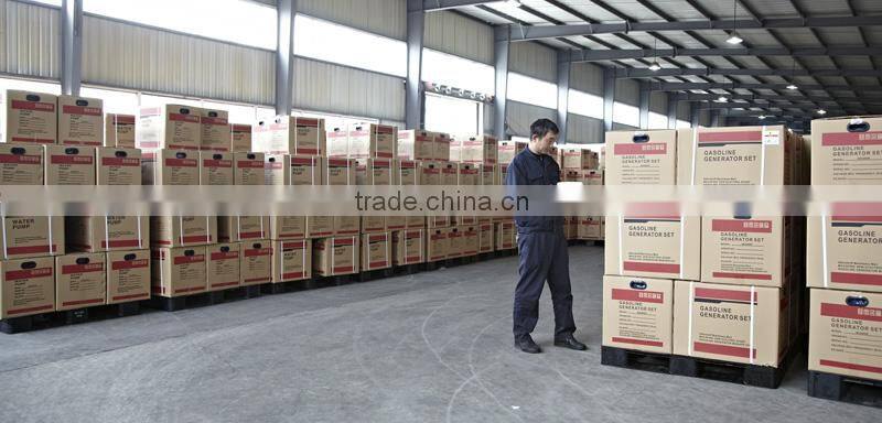 Europe new diesel engine water pump 2inch (WH20DP)