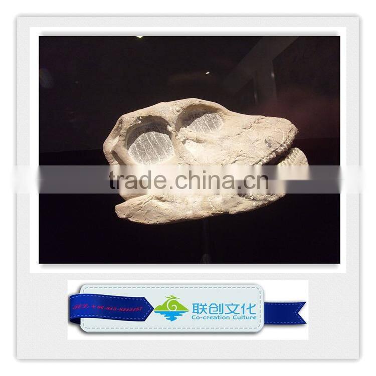 High quality museum life size dinosaur replica