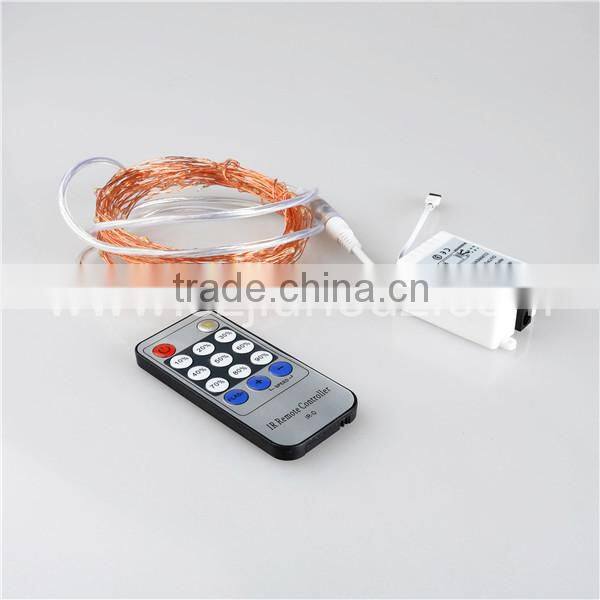 33Ft Copper LED Strings 100 LEDs Starry LED Lights LED String Light Festival Decorative LED String Lights with 5V Power Adapter