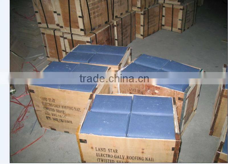 Electro Galvanized Common Round Iron Nails