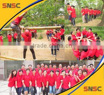 SNSC parts,XCMG GR180,SUPPORT FUSEE ENCIEN ,001210016,support