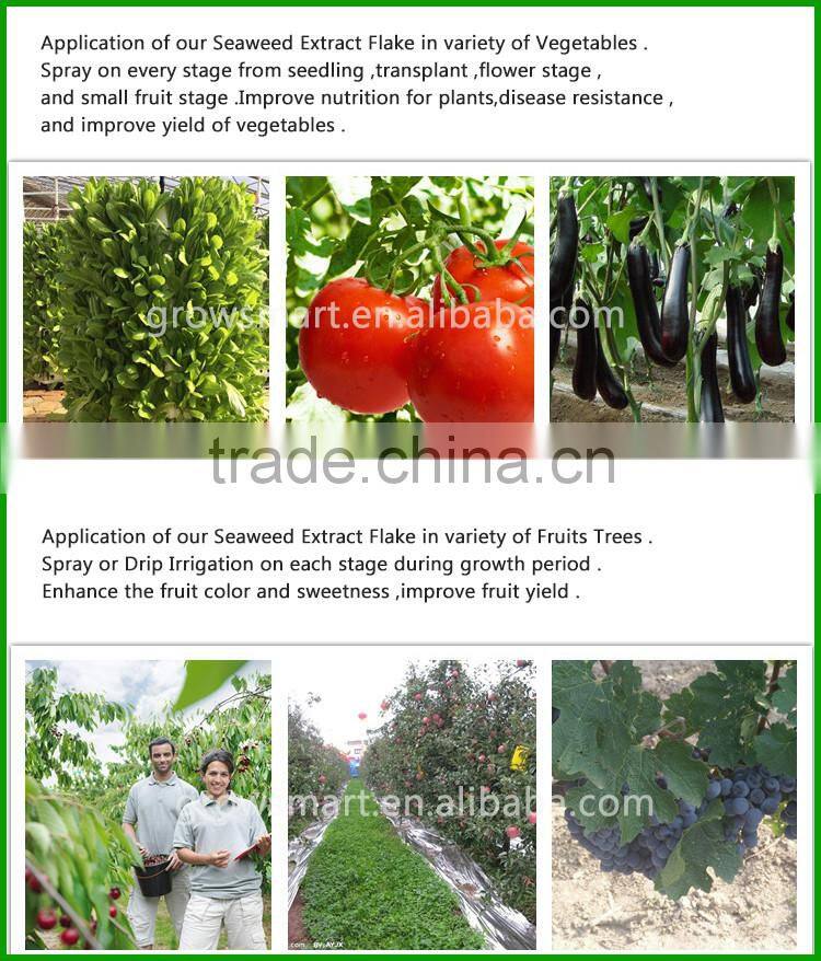 seaweed water soluble organic fertilizer seaweed extract fertilizer for sale