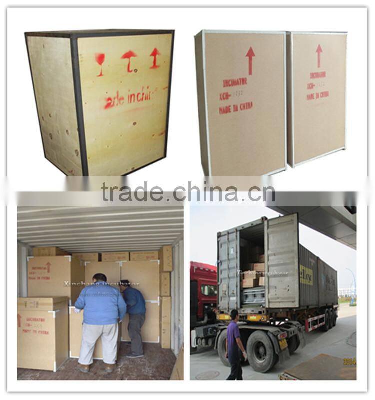 XCH-1000 egg incubator with temperature controller