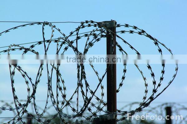 Galvanized barbed wire/barbed wire