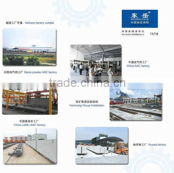 China Top Brand Aerated Autoclaved Concrete Plant
