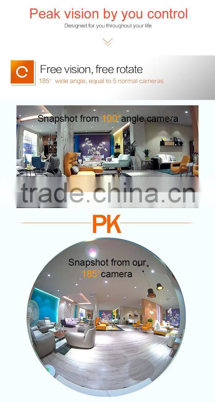 1.3MP HD security lamp hidden camera