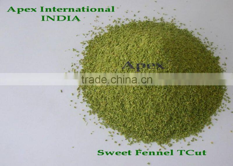 Apex Supplies Quality Foeniculum Vulgare Fennel / Foeniculum Vulgare / Fennel Seeds / Saunf