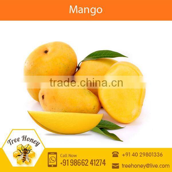 Highly Demanded Fresh Indian Mango Available at Low Market Price