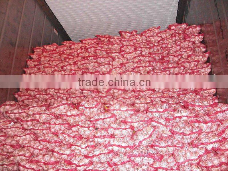 hot fresh chestnut for sale 2012