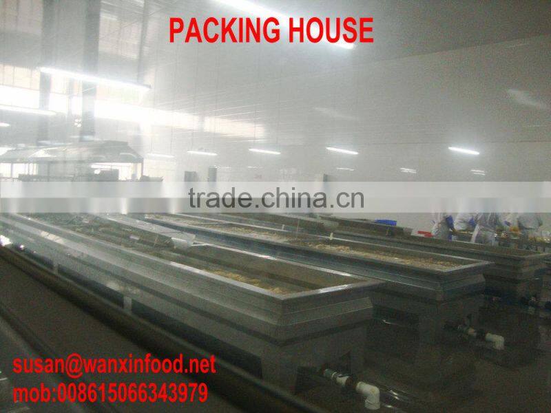 SWEET AND SOUR TASTE SUSHI GINGER FROM CHINA