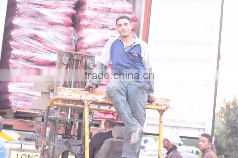 charcoal For BBQ from egypt with best price and best quality big size