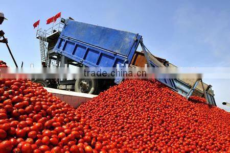 70G-4500G China Hot Sell Canned tomato paste,tomato ketchup production line