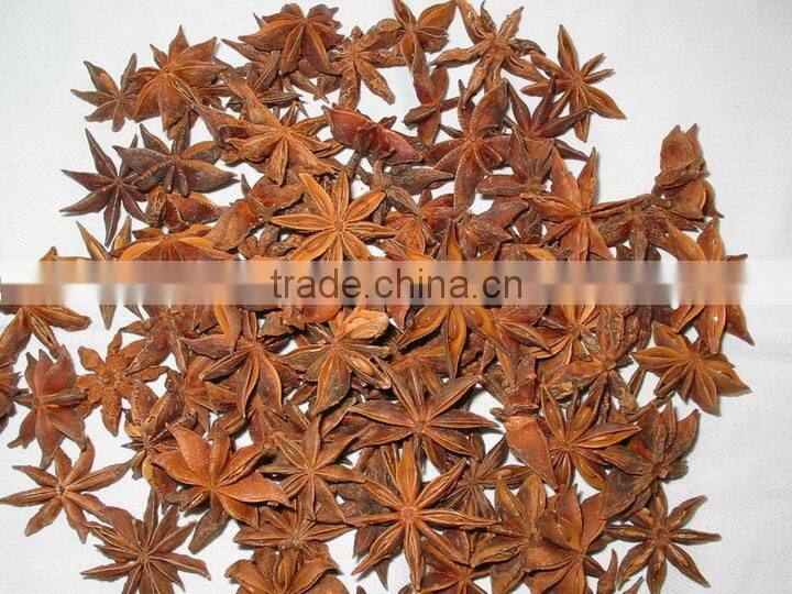 Star aniseeds stemless