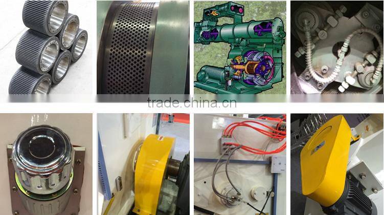 Customized 2016 Hot sale High Output pellet machine for solid waste