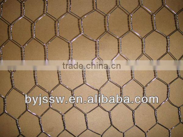 Galvanized Chicken Cloth Wire Netting