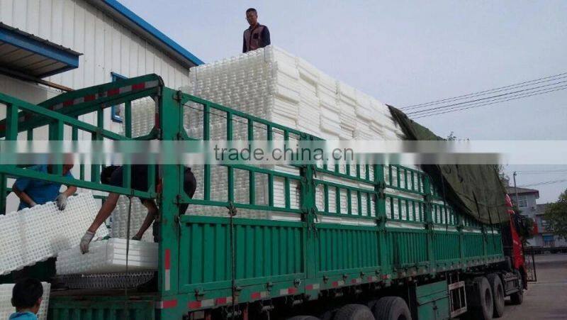 60 holes Eggs cartons chicken egg tray