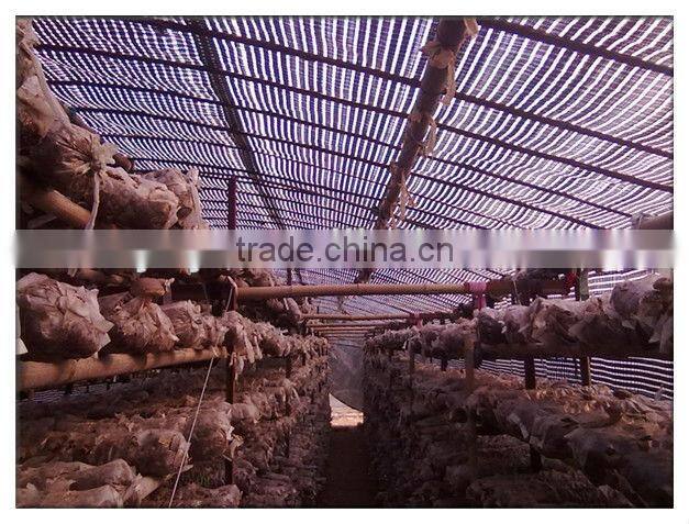 PE grid film /agriculture plastic greenhouse film with light transmittance:25% and 15%