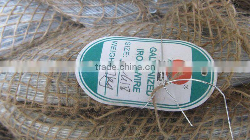 hot dip galvanized wire BWG20