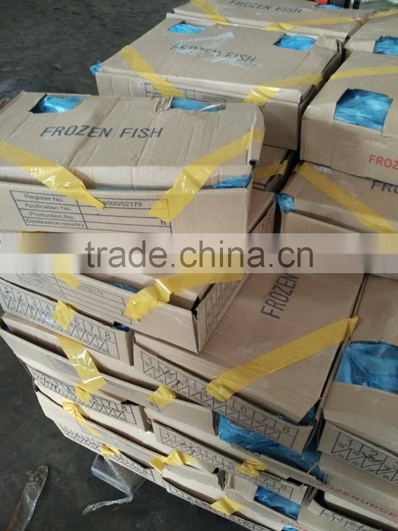 BQF land frozen mackerel lamp catching