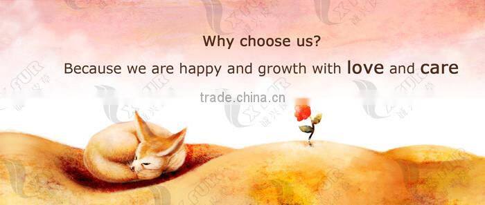 CX-D-23B 2016 Real Decorative Mongolian Tibetan Lamb Fur Rug Carpet Throw New