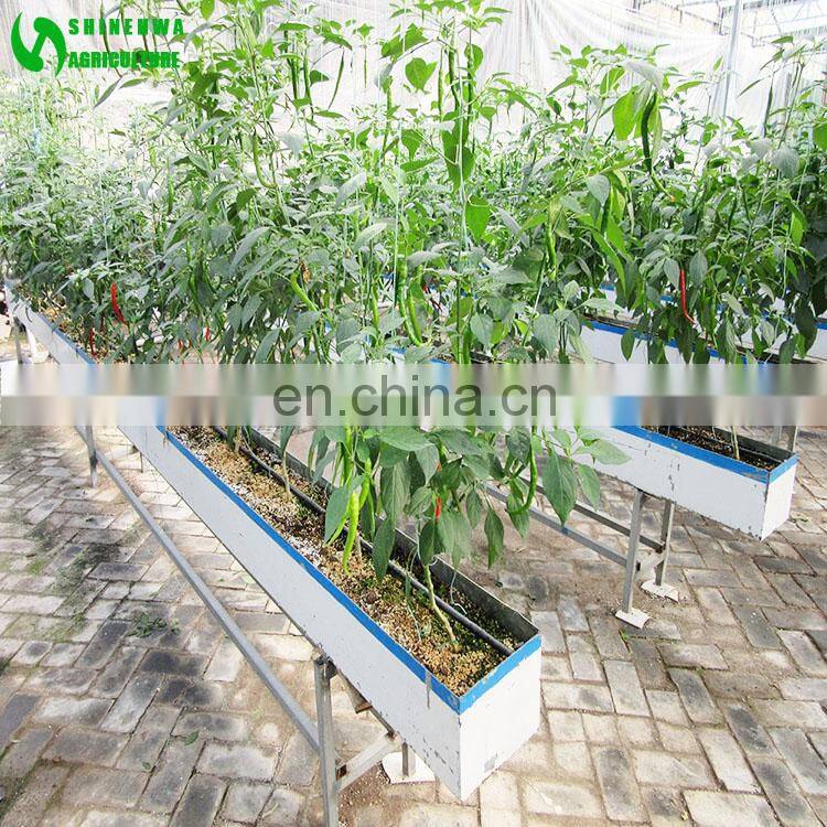 Eggplant Hydroponics and Coconut Cultivation Equipment/Hydroponics Growing Systems