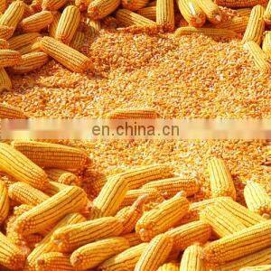 Customized grain mill