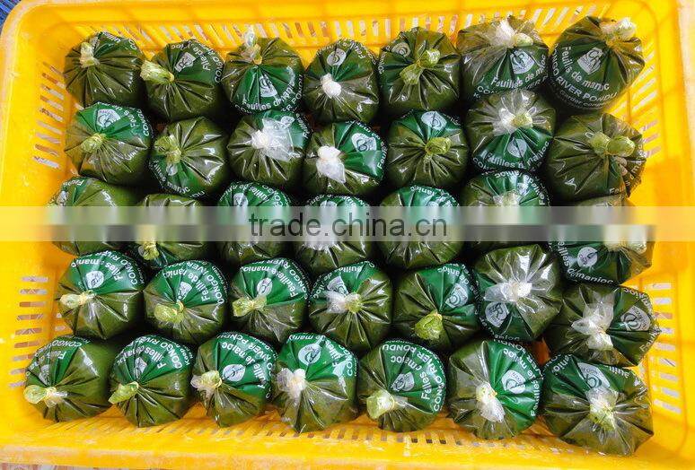 Frozen Cassava Leaf /Frozen cassava Leaves