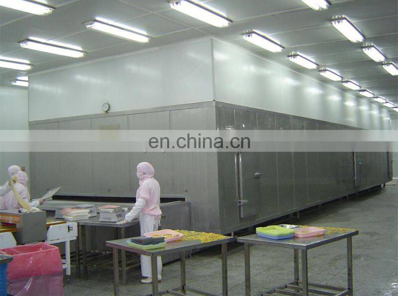 Automatic berries freezing tunnel fruit and vegetable IQF tunnel freezer equipment good price for sale
