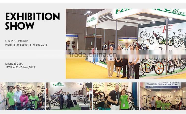 adult electric quad bike with hidden battery