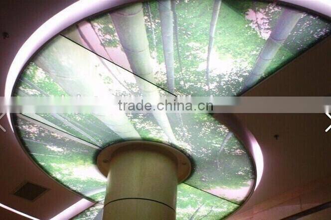 Roll To Roll UV Printer for soft film ,Ricoh GEN4/5 head uv printing machine