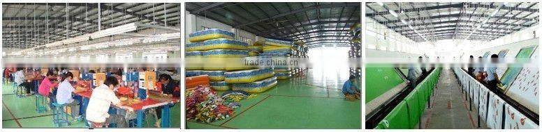 2012 Hot sale pvc soccer/Beach ball/Promotion gift