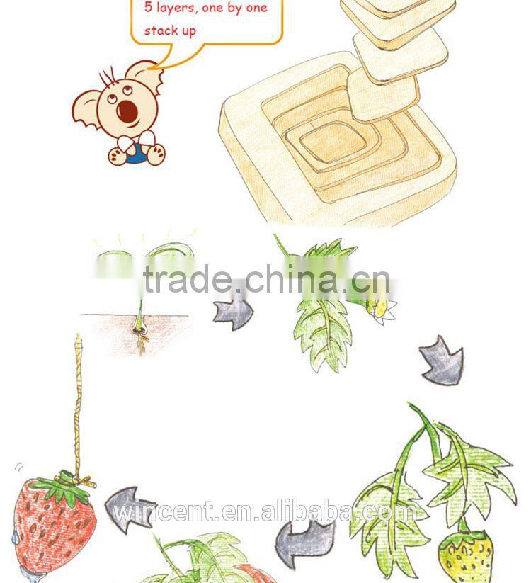 Strawberry Gowth Simple Multiple Layer Wooden Puzzle