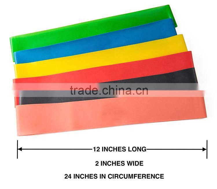 Fitness Premium Crossfit Resistance Training Loop Band