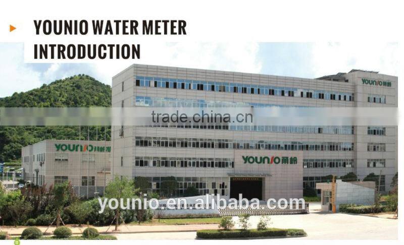 Horizontal Type Class C Volumetric Rotary Piston Water Meter
