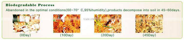 2 Compartments 1000ml Sugarcane Fiber food packaging container,clamshell