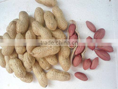 raw peanut kernel for sale