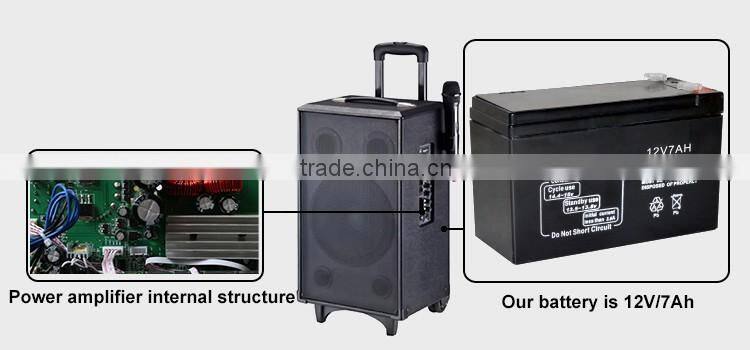 Rechargeable Wood 10inch Usb Trolly Speaker