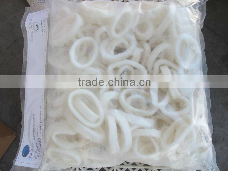 frozen squid fillet
