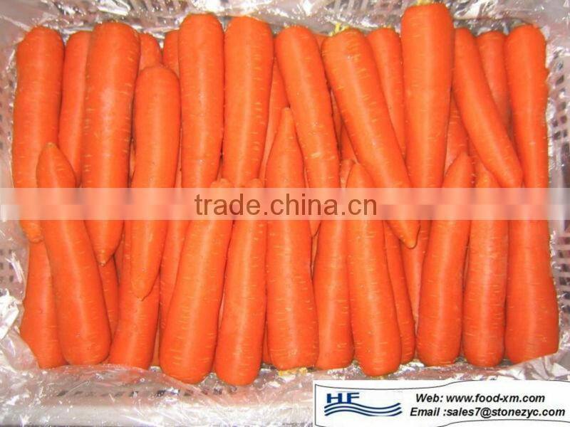 2012 fresh red carrot