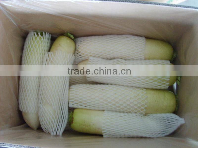 Fresh Chinese White Radish on sale