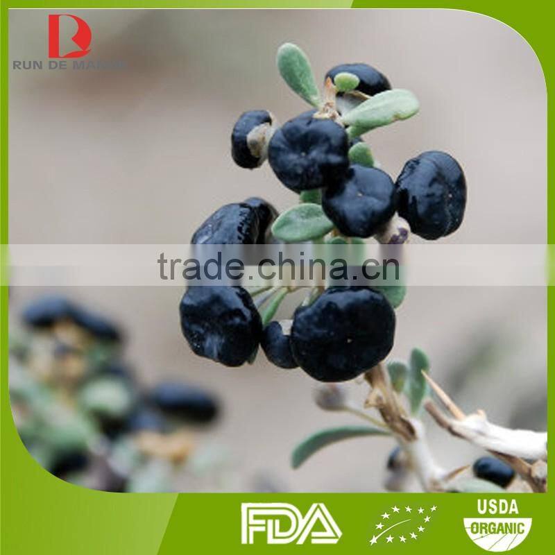 HOT SALE natural organic black goji berries/black Chinese wolfberry/black goji